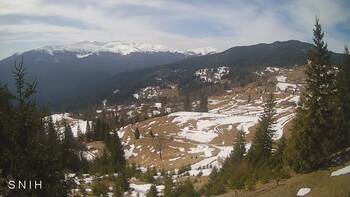 Ясіня 8 березня 2026 року, 2026-03-08 13:00