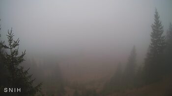 Yasinia 29 march 2026 year, 2026-03-29 16:00