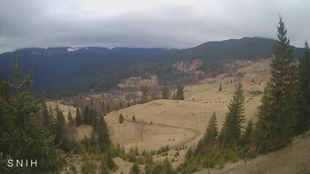 Jasinia 1 kwiecień 2026 rok, 2026-04-01 16:00