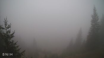 Ясіня 20 квітня 2026 року, 2026-04-20 16:00