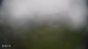 Ясіня 1 червня 2026 року, 2026-06-01 13:00