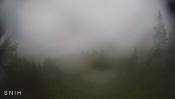 Ясіня 2 червня 2026 року, 2026-06-02 10:00