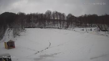 Ведмежа 4 грудня 2023 року, 2023-12-04 13:00