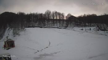 Ведмежа 4 грудня 2023 року, 2023-12-04 16:00