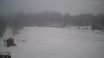 Ведмежа 7 грудня 2023 року, 2023-12-07 16:00