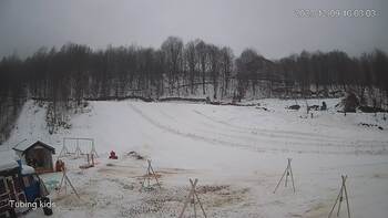 Ведмежа 9 грудня 2023 року, 2023-12-09 10:00