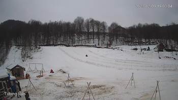 Ведмежа 9 грудня 2023 року, 2023-12-09 13:00