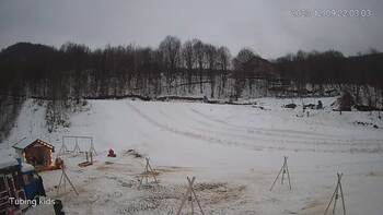 Ведмежа 9 грудня 2023 року, 2023-12-09 16:00