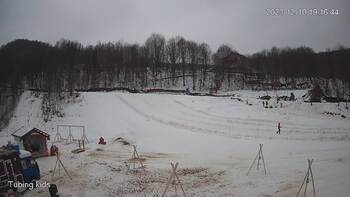 Ведмежа 10 грудня 2023 року, 2023-12-10 13:00