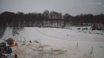 Ведмежа 10 грудня 2023 року, 2023-12-10 16:00