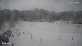 Ведмежа 11 грудня 2023 року, 2023-12-11 10:00