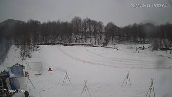 Ведмежа 11 грудня 2023 року, 2023-12-11 13:00