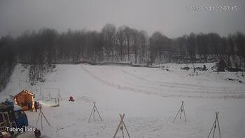 Ведмежа 11 грудня 2023 року, 2023-12-11 16:00