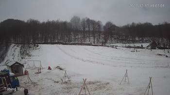 Ведмежа 13 грудня 2023 року, 2023-12-13 13:00