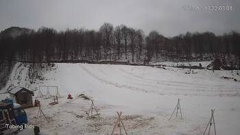 Ведмежа 13 грудня 2023 року, 2023-12-13 16:00