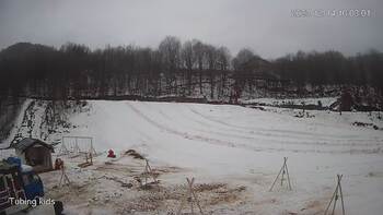 Ведмежа 14 грудня 2023 року, 2023-12-14 10:00