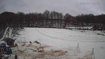 Ведмежа 14 грудня 2023 року, 2023-12-14 16:00