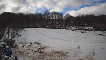 Ведмежа 15 грудня 2023 року, 2023-12-15 13:00