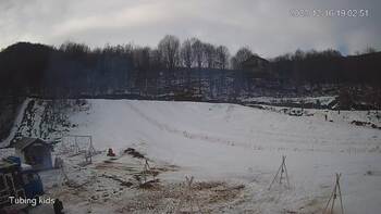 Ведмежа 16 грудня 2023 року, 2023-12-16 13:00