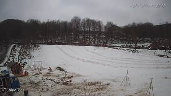 Ведмежа 17 грудня 2023 року, 2023-12-17 10:00
