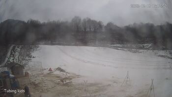 Ведмежа 18 грудня 2023 року, 2023-12-18 10:00