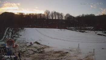 Ведмежа 19 грудня 2023 року, 2023-12-19 16:00
