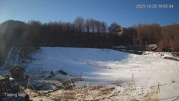 Ведмежа 20 грудня 2023 року, 2023-12-20 13:00