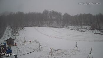 Ведмежа 21 грудня 2023 року, 2023-12-21 13:00