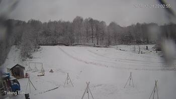 Ведмежа 21 грудня 2023 року, 2023-12-21 16:00