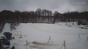 Ведмежа 26 грудня 2023 року, 2023-12-26 13:00