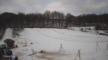 Ведмежа 28 грудня 2023 року, 2023-12-28 10:00