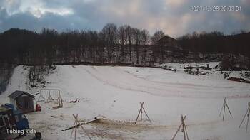 Ведмежа 28 грудня 2023 року, 2023-12-28 16:00