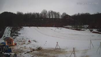 Ведмежа 30 грудня 2023 року, 2023-12-30 10:00