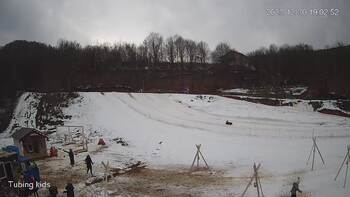 Ведмежа 30 грудня 2023 року, 2023-12-30 13:00