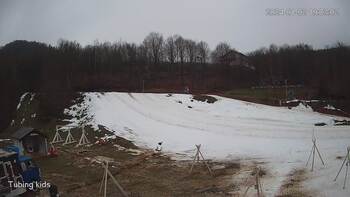 Ведмежа 2 січня 2024 року, 2024-01-02 13:00