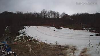 Ведмежа 2 січня 2024 року, 2024-01-02 16:00