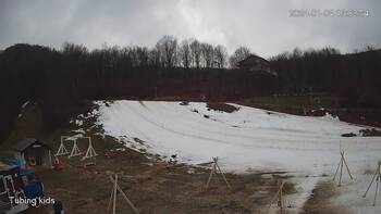 Ведмежа 4 січня 2024 року, 2024-01-04 10:00