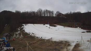 Ведмежа 4 січня 2024 року, 2024-01-04 13:00