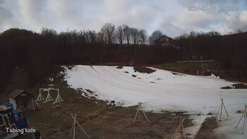 Ведмежа 5 січня 2024 року, 2024-01-05 10:00