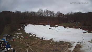 Ведмежа 5 січня 2024 року, 2024-01-05 13:00