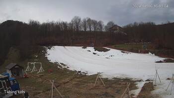 Ведмежа 6 січня 2024 року, 2024-01-06 10:00
