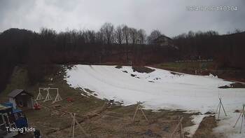 Ведмежа 6 січня 2024 року, 2024-01-06 13:00