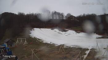 Ведмежа 7 січня 2024 року, 2024-01-07 10:00