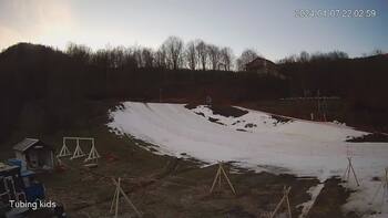 Ведмежа 7 січня 2024 року, 2024-01-07 16:00