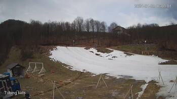 Ведмежа 8 січня 2024 року, 2024-01-08 10:00
