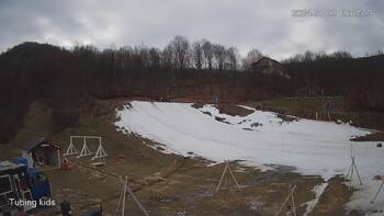 Ведмежа 8 січня 2024 року, 2024-01-08 13:00