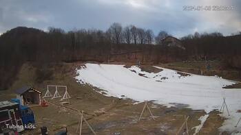 Ведмежа 8 січня 2024 року, 2024-01-08 16:00