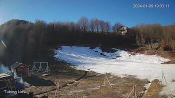 Ведмежа 9 січня 2024 року, 2024-01-09 13:00