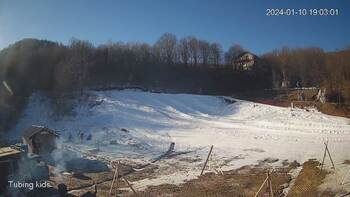 Ведмежа 10 січня 2024 року, 2024-01-10 13:00