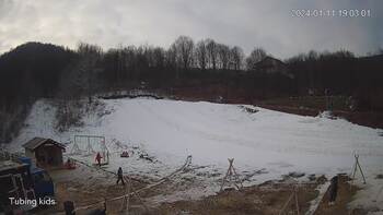 Ведмежа 11 січня 2024 року, 2024-01-11 13:00